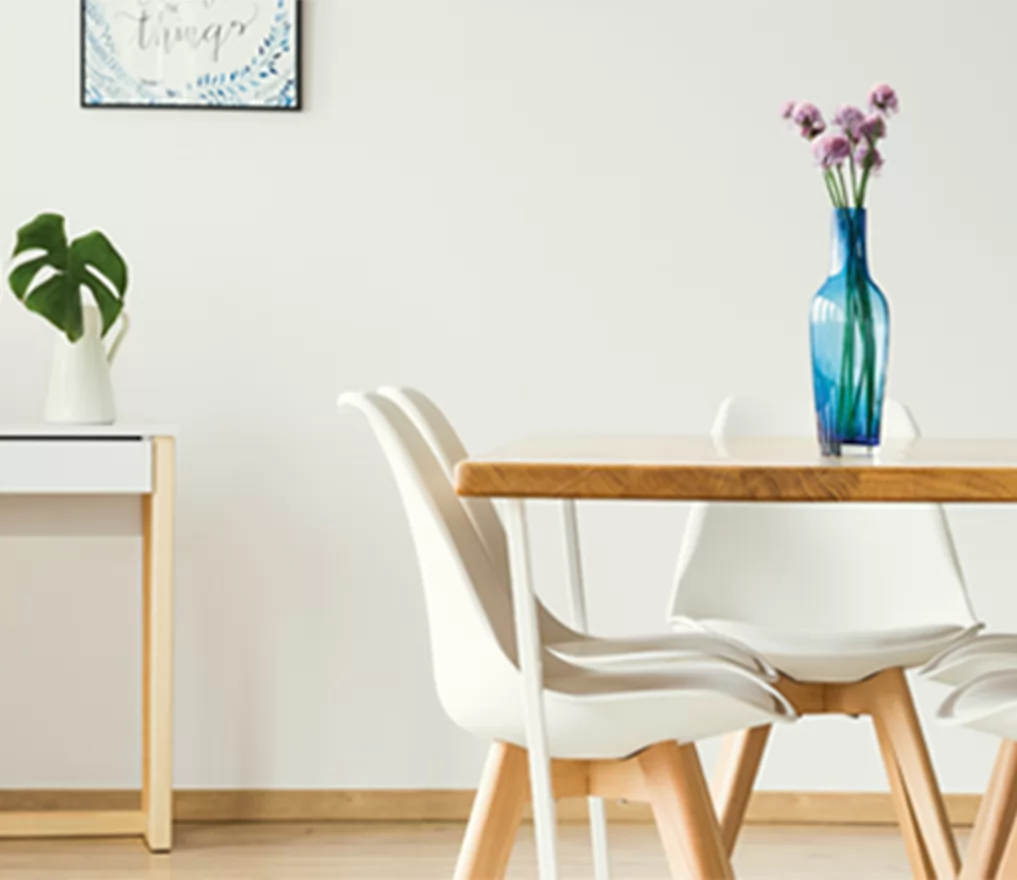 Baumit Interior Paints